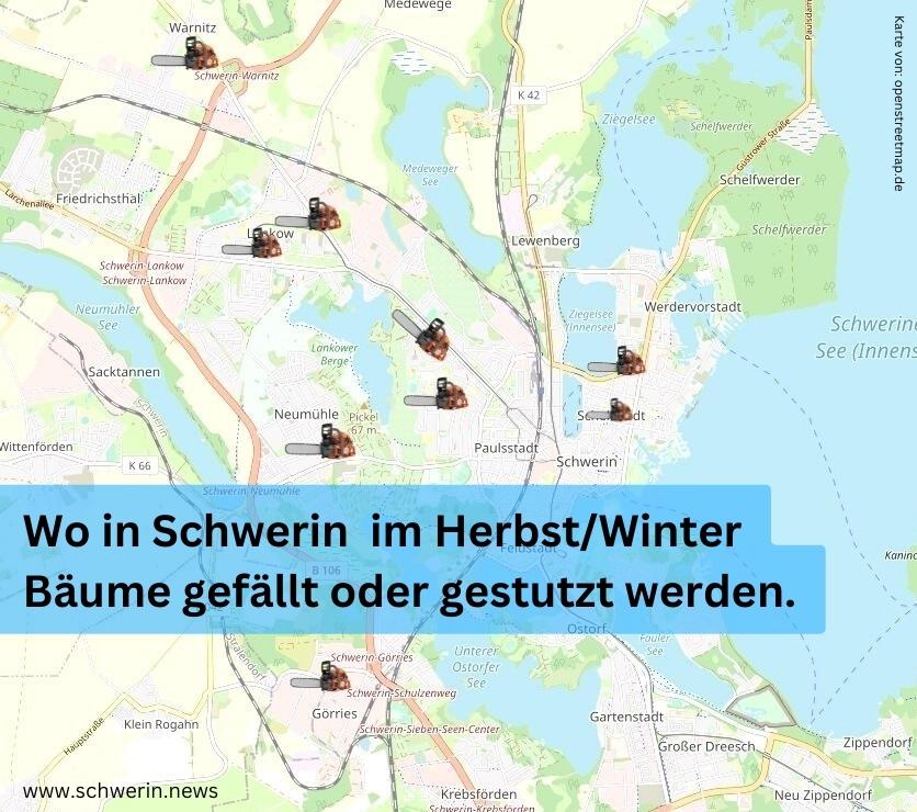 Mit Übersicht: Stadt kündigt für Herbst und Winter Baumfällungen und Baumpflegemaßnahmen im Stadtgebiet&nbsp;an.