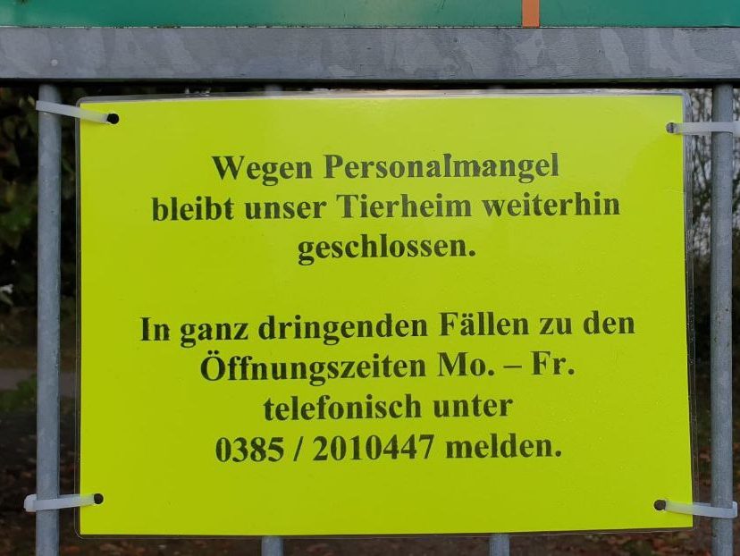 Tierheim Schwerin schließt und stellt auf Notbetrieb&nbsp;um.