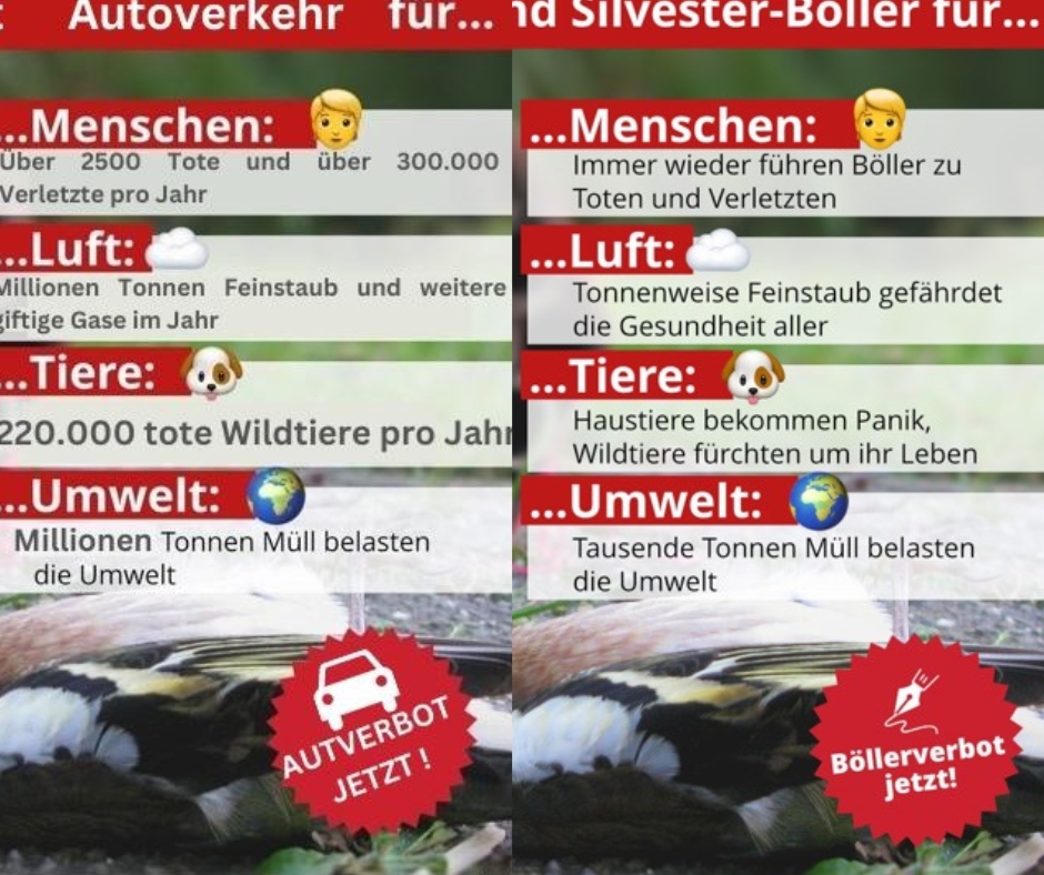 Kommentar Karsten Jagau: „Wer Böller verbieten will, darf bei Autos nicht schweigen.“
