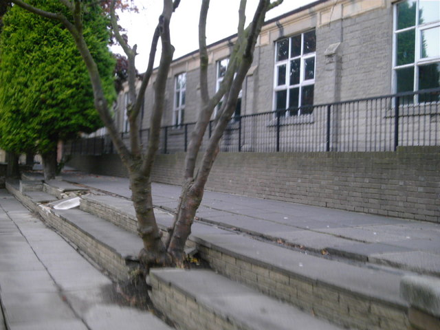 Schweriner Schulen aufgepasst: Bundesweites Förderprogramm sucht Schulen, die ihren Schulhof selbst gestalten&nbsp;wollen.