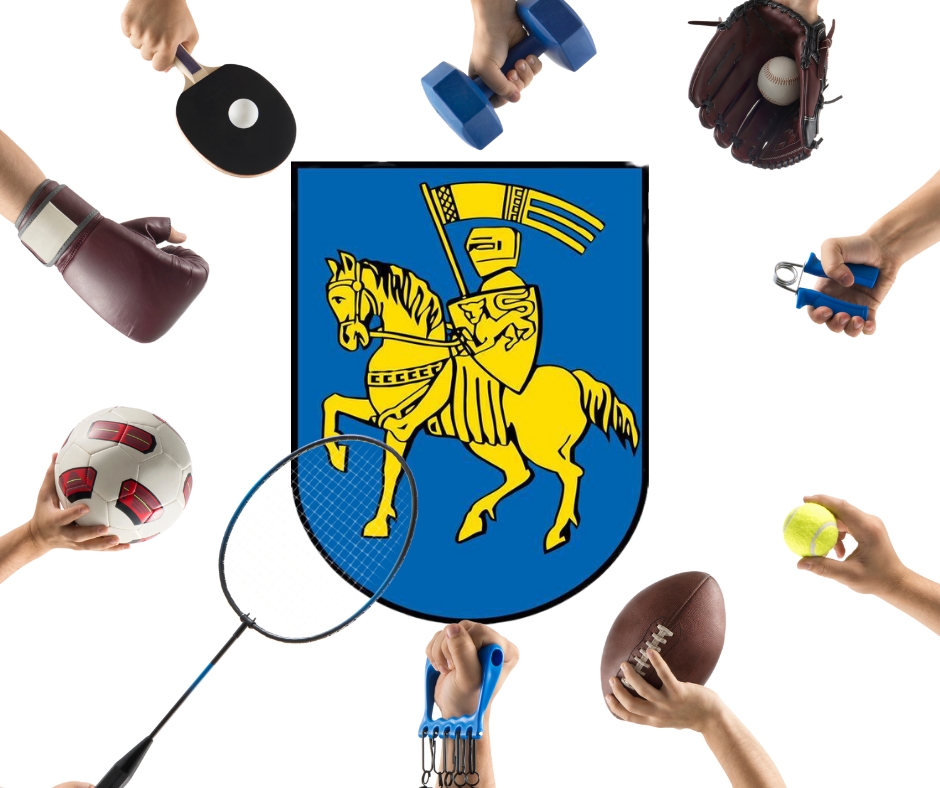 Erfolgreichsten Sportlerinnen und Sportler der Stadt Schwerin gesucht! Vorschläge können jetzt eingereicht&nbsp;werden.