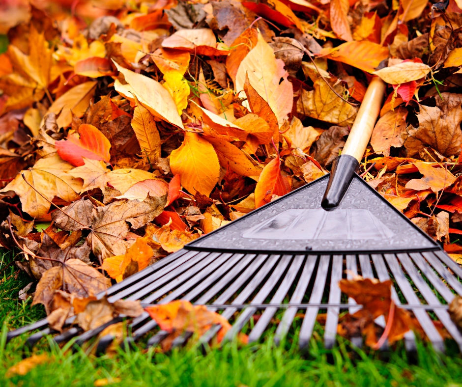 BigBags zum Laubsammeln können ab 16. Oktober befüllt&nbsp;werden.