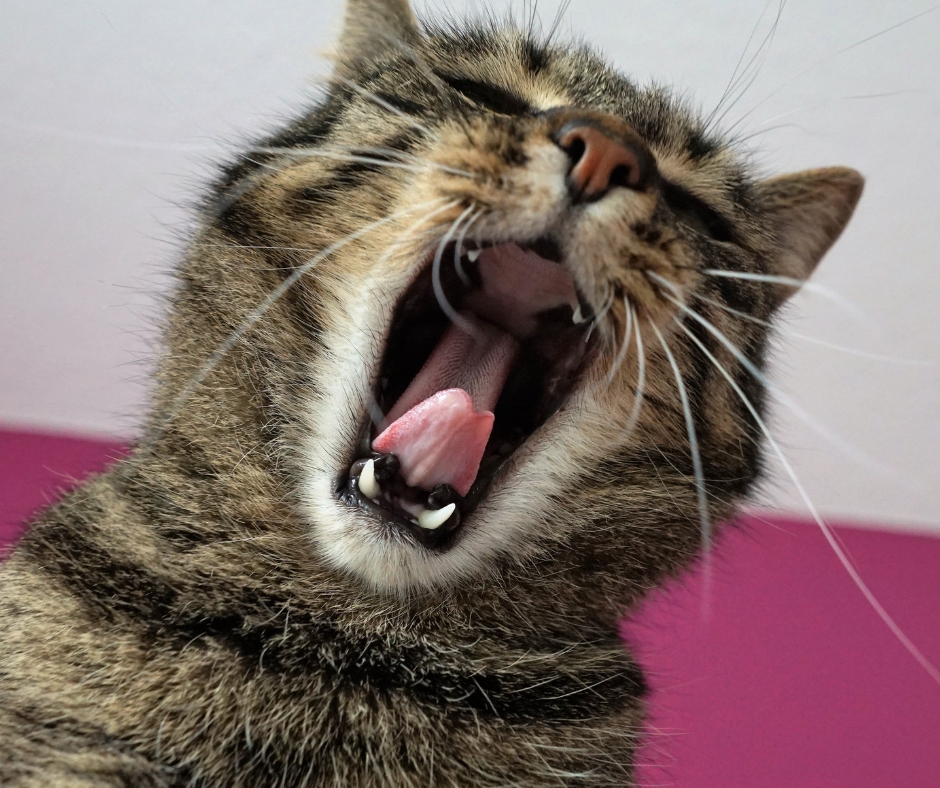 Der ehrlichste Schweriner Rückblick auf das Jahr&nbsp;2023.