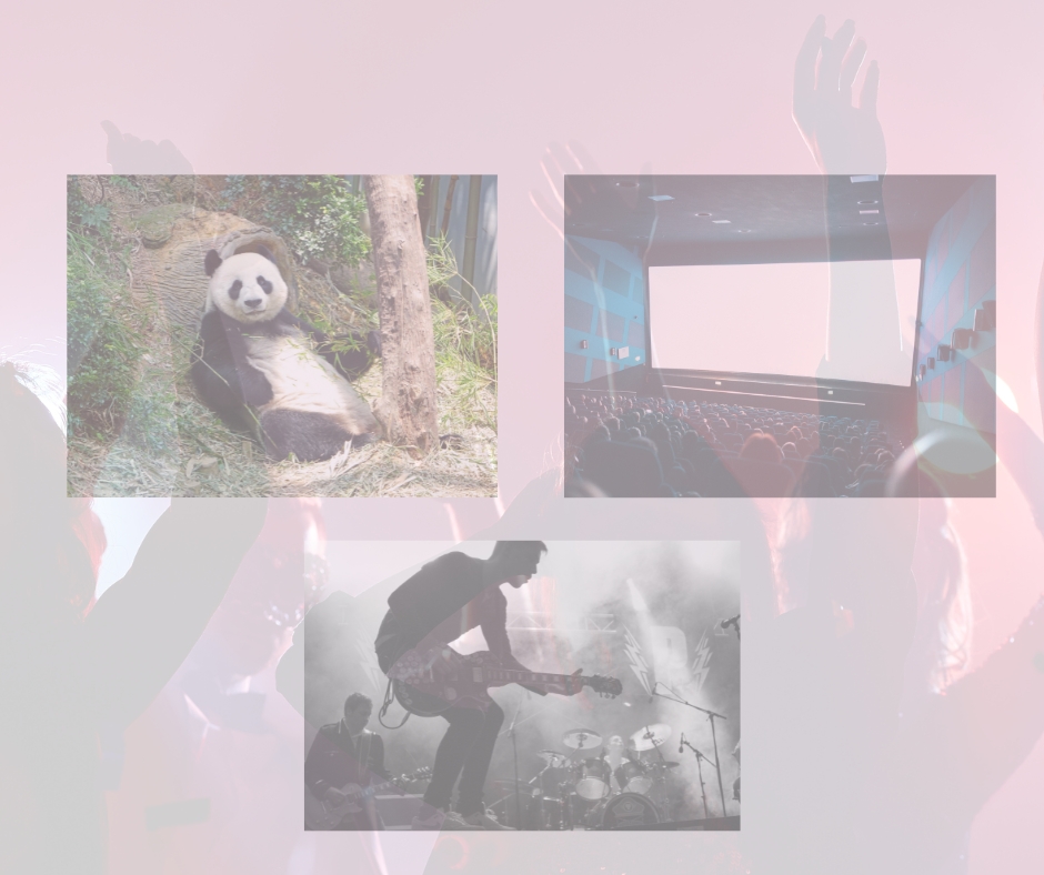 Blendgranate „Tanzsteuer“ … Wie aus der geplanten Abschaffung eine sprudelnde Einnahmequelle für Schwerin werden&nbsp;soll.