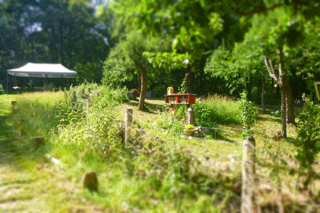Erster (Fort-) Bildungskurs im Grünen Klassenzimmer auf der Naturschutzinsel Kaninchenwerder verlief&nbsp;erfolgreich.