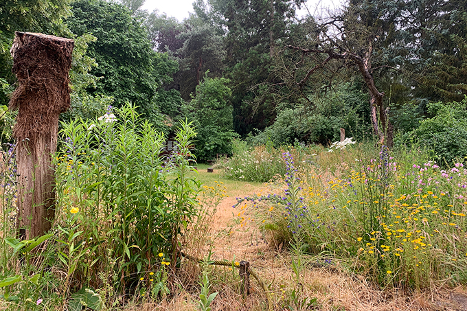 „Tag der offenen Gartentür“ in der Naturschutzstation Zippendorf