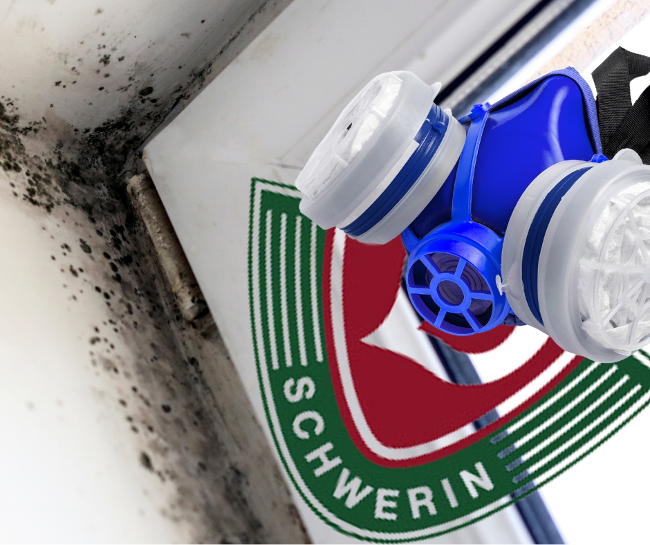 „Zutritt nur noch mit Atemschutzmaske“ Stadt schließt Räume der SG Dynamo Schwerin wegen&nbsp;Schimmelbefall.