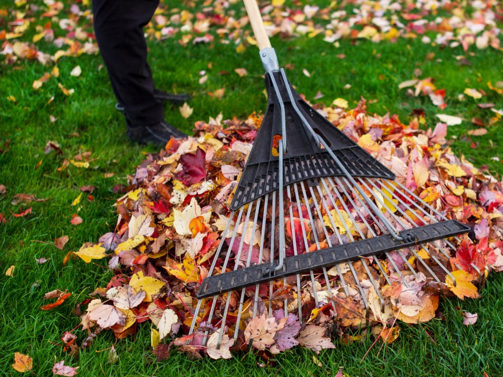 OB Badenschier teilt mit: Herbstputz wird es in Schwerin vorerst nicht&nbsp;geben.