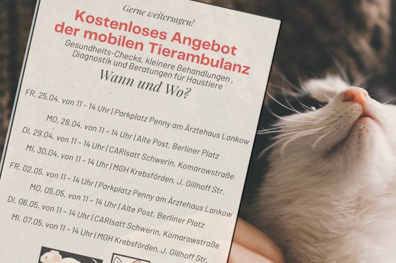 Mobile Tierambulanz hilft kostenlos in Schwerin – Caritas unterstützt Angebot für&nbsp;Bedürftige