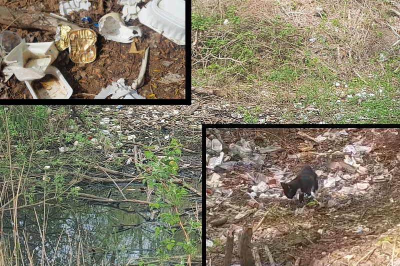 So sieht es auf dem „Müll-Gelände“ neben Alba aus! Fotos und Videos im&nbsp;Beitrag.