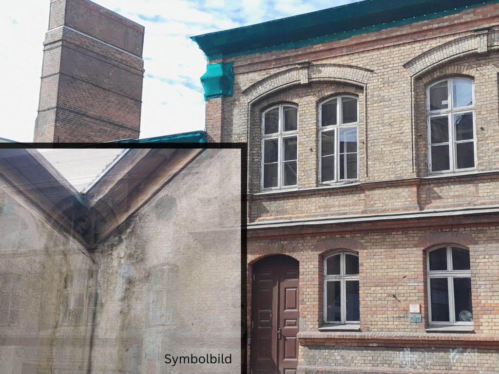 Kommentar: Schimmelbefall im Staatstheater – Stadt sieht sich nicht in&nbsp;Verwantwortung.