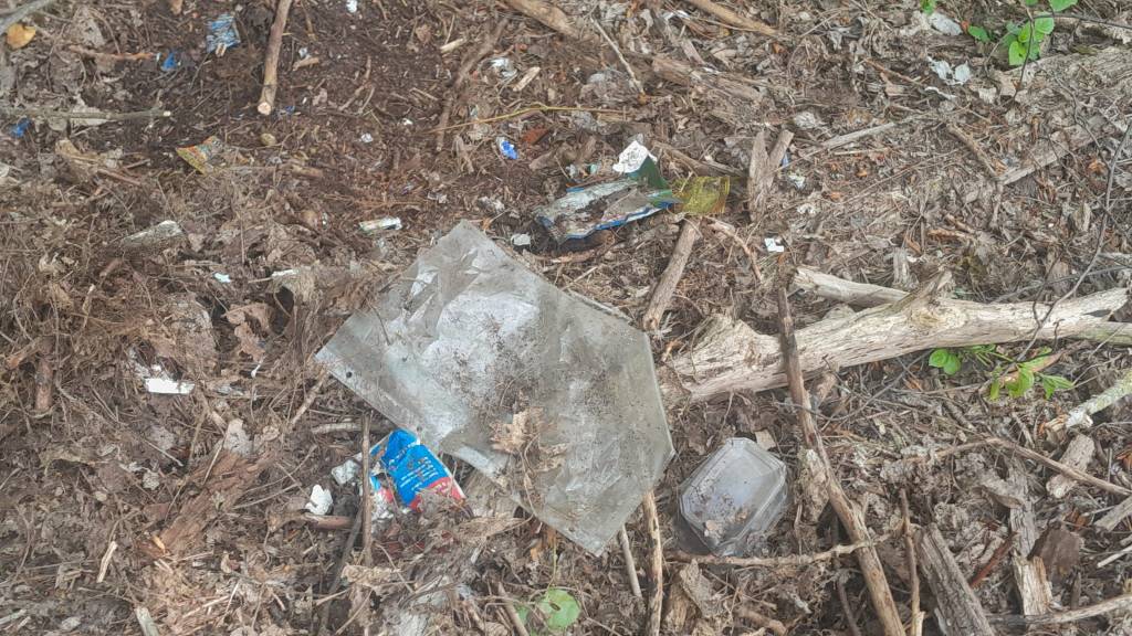 Stadt bestätigt Säuberung des Ziegeleiteich Gelände – doch die Realität sieht ganz anders&nbsp;aus!