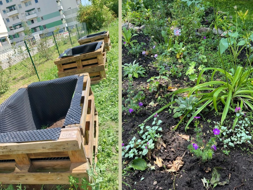 Blühende Weststadt – Schulgarten der Europaschule nimmt weiter Gestalt&nbsp;an