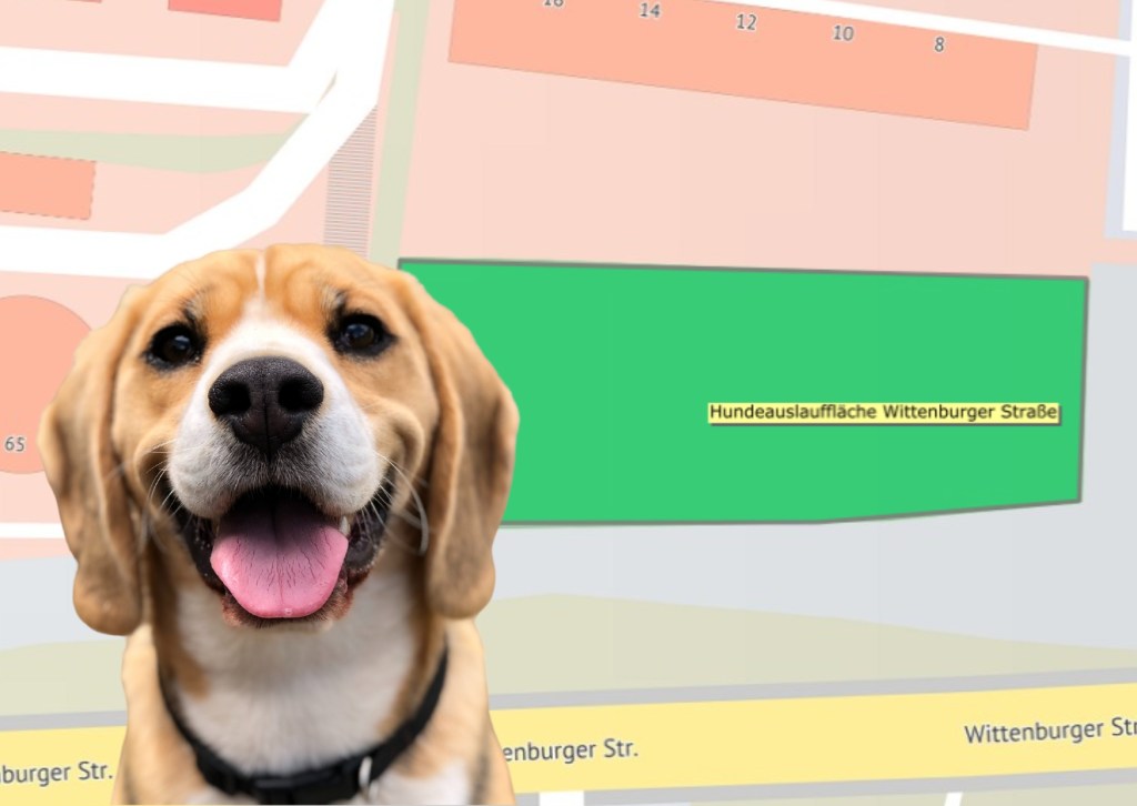 Autos statt Hunde. Hundwiese in Weststadt soll Parkhaus&nbsp;werden.