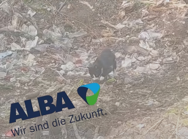 Plastik am Ziegeleiteich: Stadt lädt am Mittwoch Kommunalpolitiker zur Besichtigung bei ALBA Nord – worum es geht