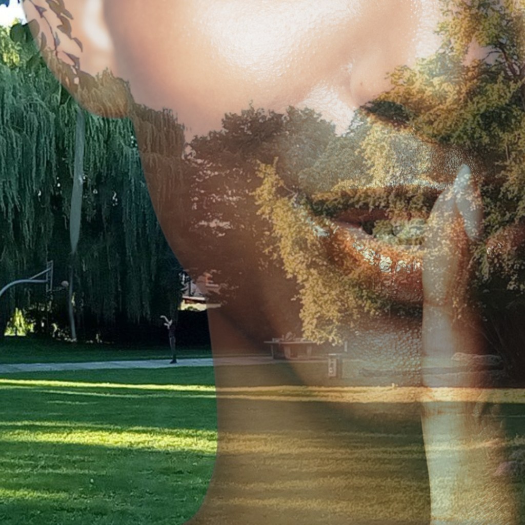 Bürgerentscheid in Schwerin: Einzelfall Lankow – oder beginnt hier der Bruch mit der Schweriner Routine?