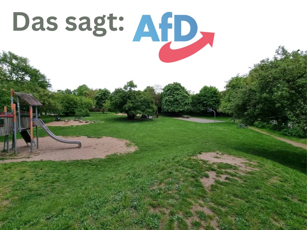 Positionen zum Bürgerentscheid: AfD fordert „Geht wählen“