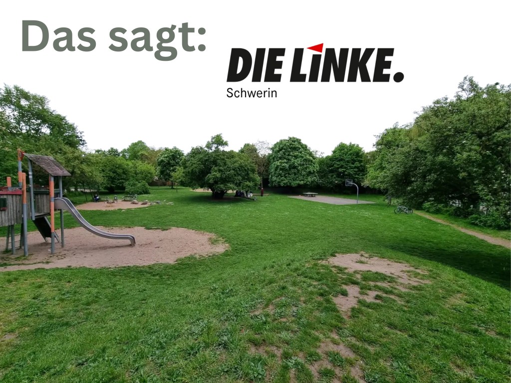 Positionen zum Bürgerentscheid: Linke setzt auf Bürgerbeteiligung und Transparenz