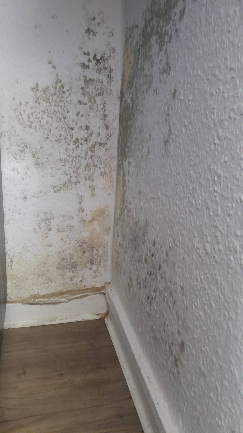 Lüften, Lüften, Lüften: DEKRA gibt Tipps gegen Schimmel in Wohnräumen