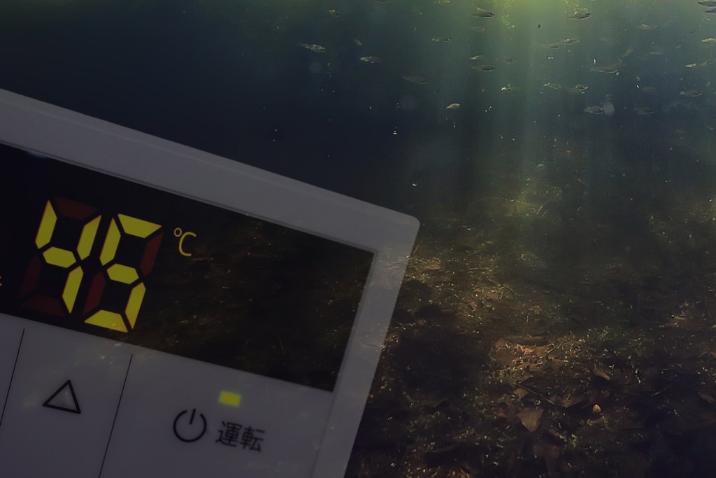 „Heizen mit Schweriner Seen“? Klingt komisch – ist aber längst kein Science-Fiction-Thema mehr.