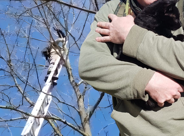 Katze in Not auf dem Dreesch: Feuerwehr hilft nicht – Nachbarschaft rettet&nbsp;gemeinsam