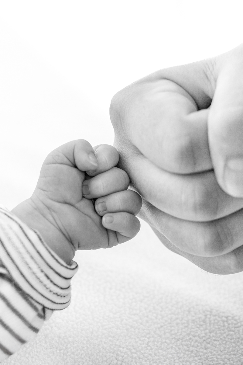 „HÄNDE“ in Schwerin: Neue Fotoausstellung in der MV-Fotogalerie startet am 29. März