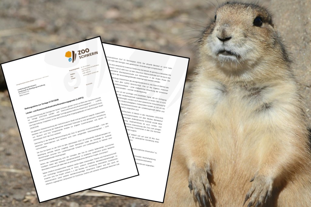 Zoo kritisiert Stadtpläne: Bei Millionenförderung nicht&nbsp;berücksichtigt