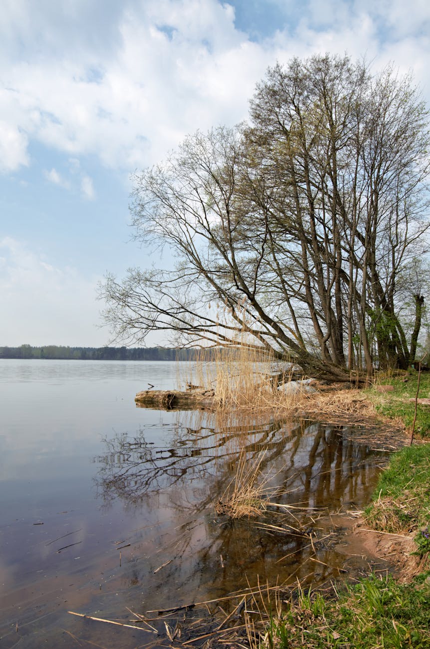 Biber, Eisvogel und Wasserflöhe: Neue Ausstellung in der Naturschutzstation Zippendorf