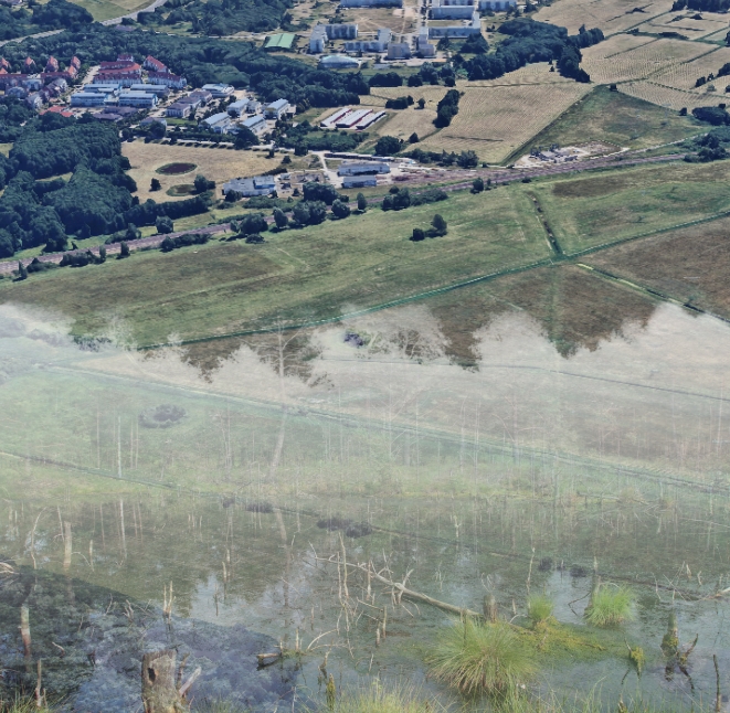 Nach mehr als 20 Jahren Planung: Schwerin will Siebendörfer Moor ab September&nbsp;revitalisieren