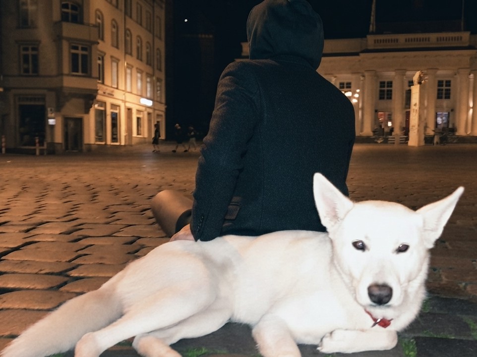 „Ich gebe meinen Hund nicht ab“: Wenn Wohnungslosigkeit und Tierliebe aufeinanderprallen