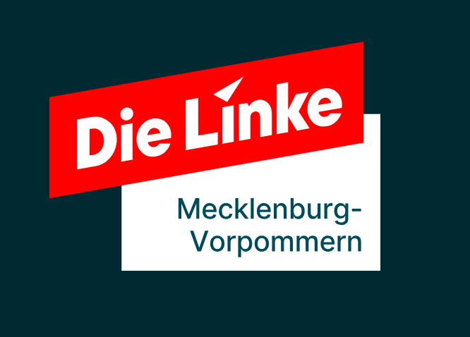 Die Linke will 1,7 Milliarden Euro über Vermögenssteuer&nbsp;mobilisieren