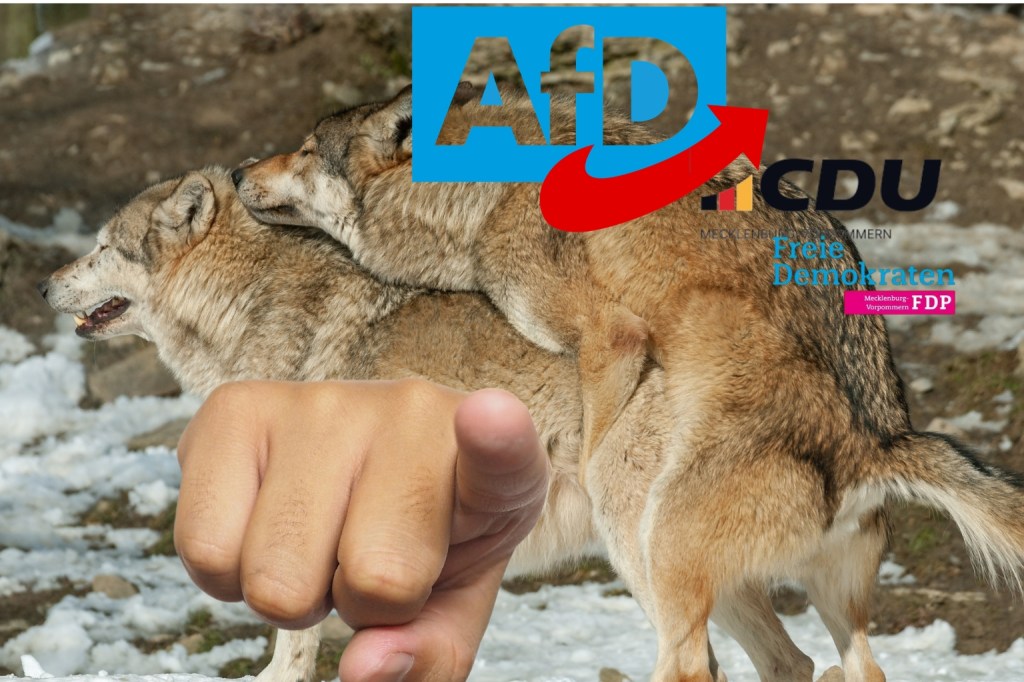 Die AfD fickt ihre eigenen Wähler*innen. Und verkauft ihnen das auch noch als&nbsp;Befreiung