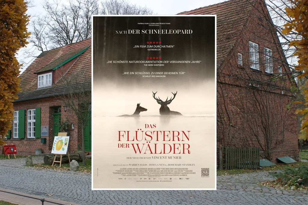 Klimakino am 29. Oktober: „Das Flüstern des Waldes“ im Kino unterm&nbsp;Dach