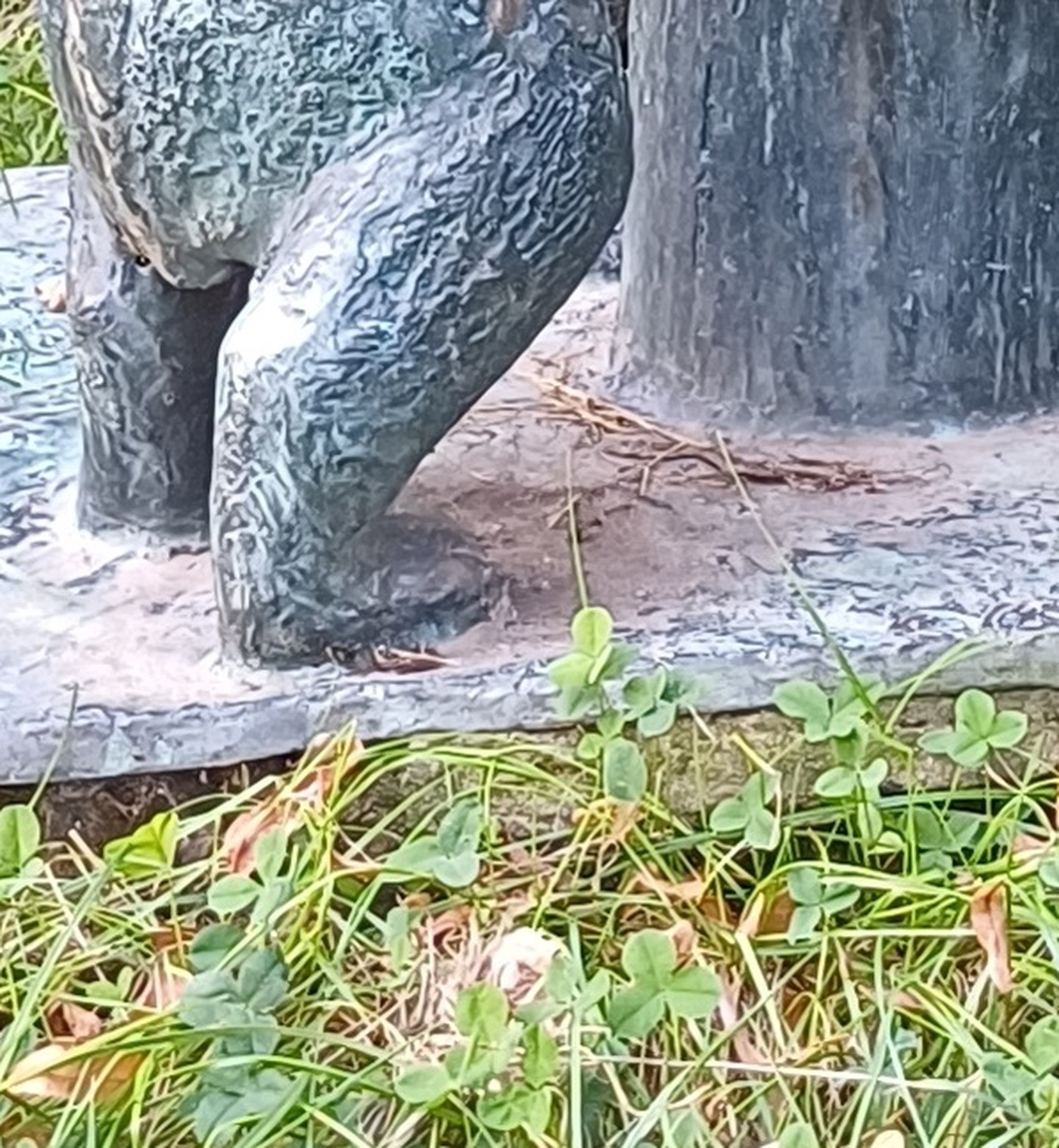 Bilderrätsel #3: Fuß einer Bronzeskulptur, Ausschnitt