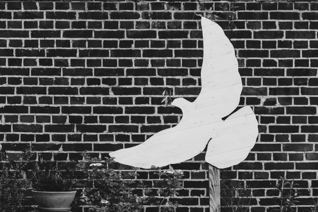 Wehrhaft ohne Waffen: Heute Abend in Schwerin geht es um Verteidigung ohne Gewalt