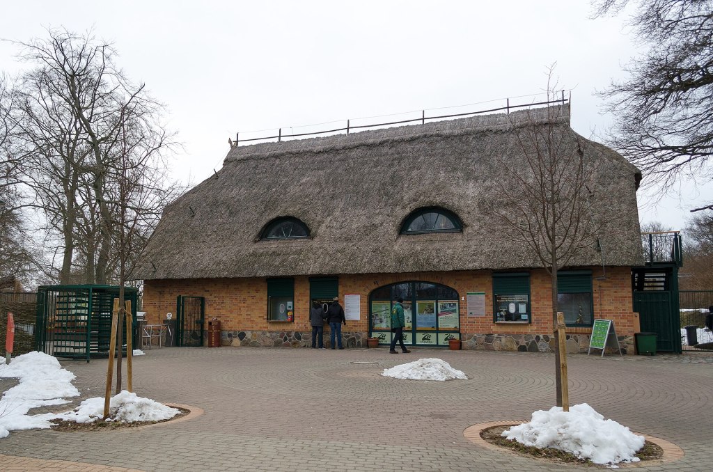 Tausende Lichter, wenn es dunkel wird: Wild Lights lässt den Schweriner Zoo bis Ende November&nbsp;glühen